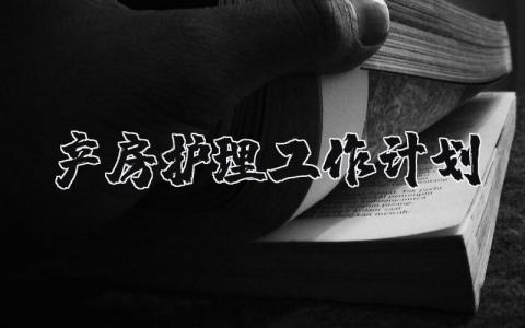 产房护理工作计划范文 产房护理下一步工作打算 (3篇)