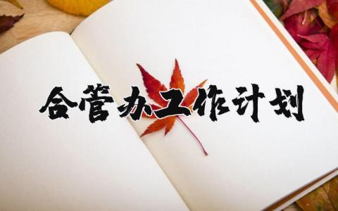 合管办工作计划和目标范文 合管办下一步工作思路及措施 (3篇)