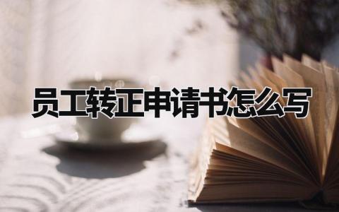 员工转正申请书怎么写 试用期转正申请简短 (12篇)