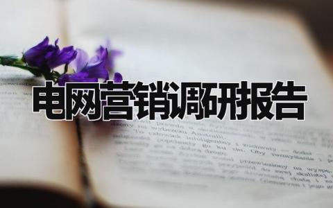 电网营销调研报告范文 电网营销调研总结汇报