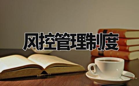 风控管理制度及流程 风控制度及具体措施 (3篇)
