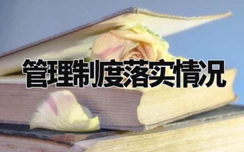 管理制度落实情况总结 规章制度落实情况自查报告 (4篇)