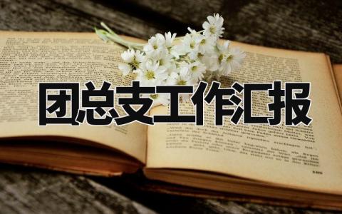 团总支工作汇报 团总支述职报告范文 (12篇)