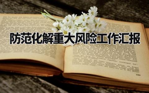 防范化解重大风险工作汇报 风险隐患排查化解情况汇报 (3篇)