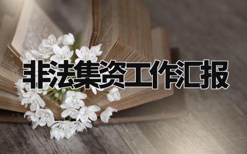 非法集资排查工作汇报范文 非法集资排查工作进展报告模板