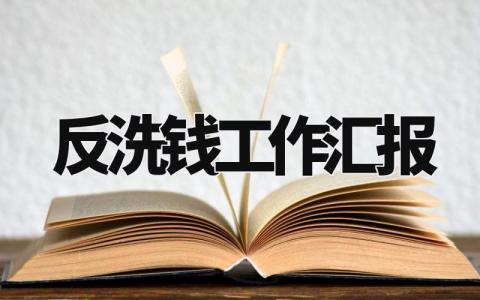 反洗钱的工作汇报合集 反洗钱工作进展情况总结报告汇总