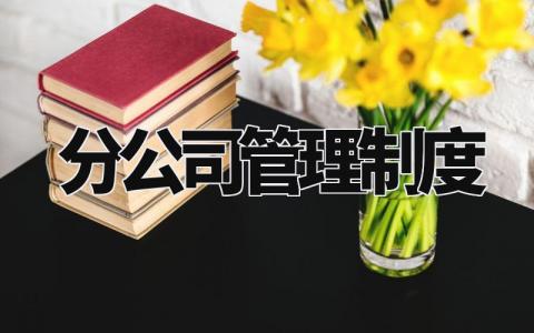 分公司管理制度 分公司管理办法最新 (7篇)