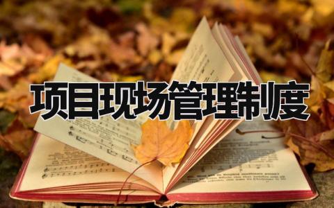 项目现场管理制度范文 项目现场管理章程模板