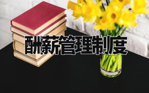 酬薪管理制度 薪酬管理办法实施细则 (11篇)