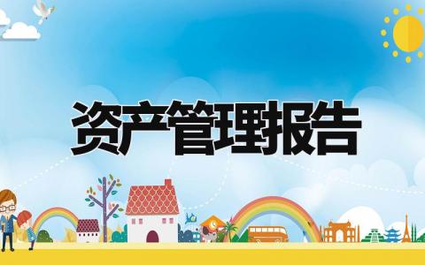资产管理报告精选范文 资产管理总结报告通用模板