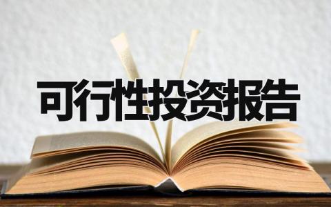 可行性投资报告汇总 投资总结报告精选范文