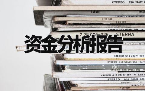 资金分析报告大全 资金分析总结报告精选范文