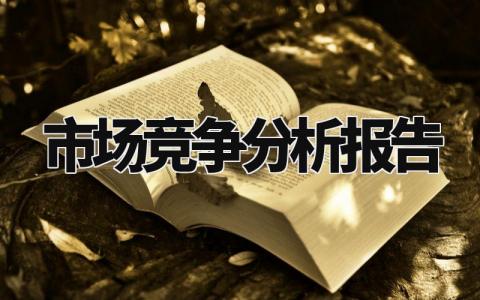 市场竞争分析报告汇总 市场竞争分析总结汇报模板