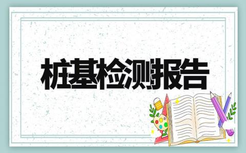桩基检测报告精选范文 桩基检测工作汇报模板