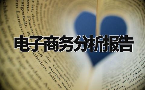 电子商务分析报告汇总 电子商务分析总结汇报大全