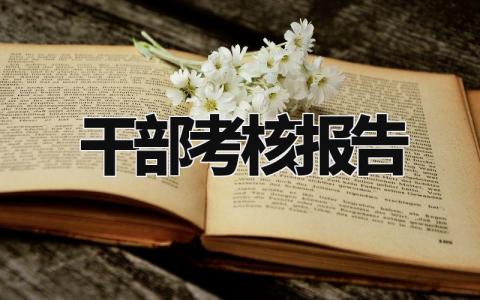 干部考核总结报告范文 干部考核情况汇报模板