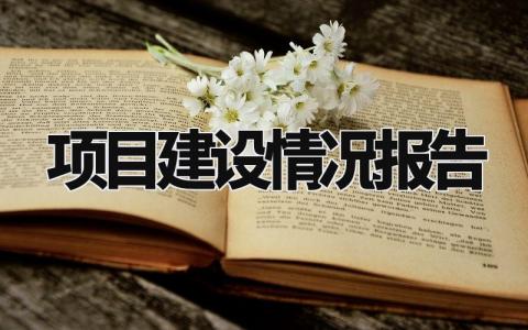 项目建设情况报告精选范文 项目建设进展汇报模板