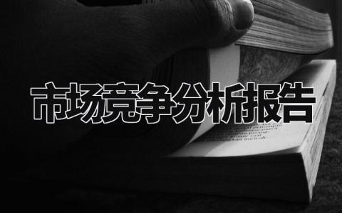 市场竞争分析报告汇总 市场分析总结汇报大全