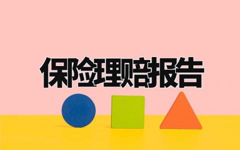 保险理赔报告精选范文 保险理赔汇报通用模板