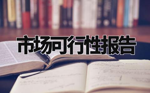 市场可行性报告精选范文 市场可行性总结汇报模板