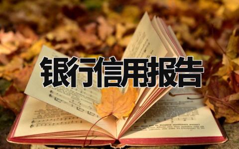 银行信用自查报告范文 银行自查自纠总结汇报模板