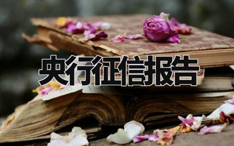 央行征信报告精选范文 征信报告通用模板