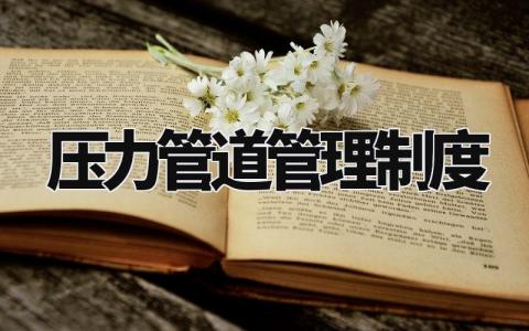 压力管道管理制度汇总 压力管道管理章程模板