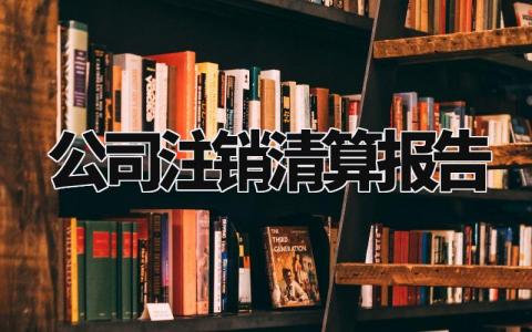 公司注销清算报告范文 公司注销清算报告内容 (4篇)
