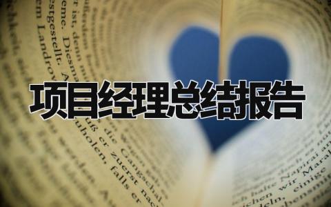 项目经理总结报告范文 项目经理述职报告模板 (12篇)