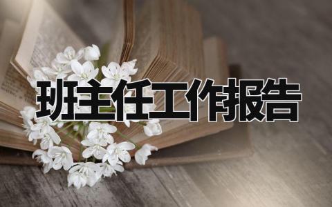 班主任工作报告 班主任工作方面的总结 (11篇)