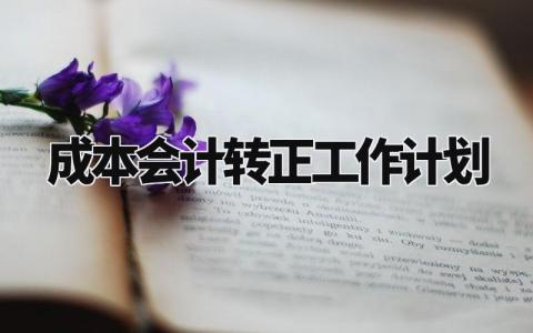 成本会计转正工作计划模板 成本专员转正工作计划范文