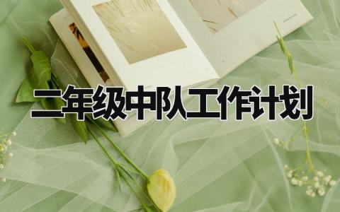 二年级中队工作计划 二年级中队下一步工作打算 (3篇)