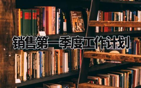 销售第一季度工作计划精选 销售第一季度工作计划表汇总