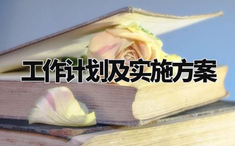 工作计划及实施方案 年度工作计划及目标 (4篇)