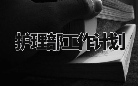 护理部工作计划 护理部工作部署及目标 (8篇)
