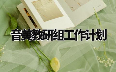 音美教研组工作计划怎么写 2024年音美组教研活动计划范文
