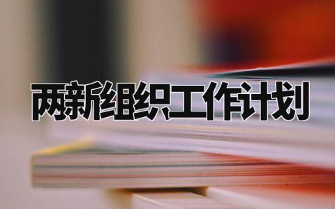 两新组织工作计划通用范文 两新组织工作开展方案汇总
