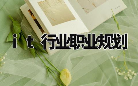 it行业职业规划精选范文 it行业职业发展规划书通用模板