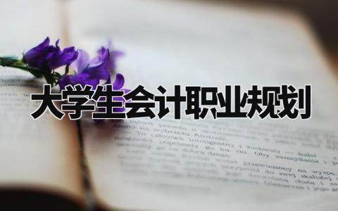 大学生会计职业规划怎么写 大学生会计职业规划800字