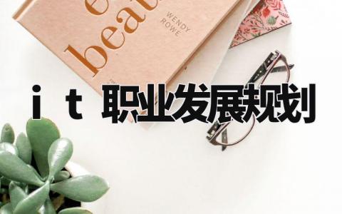it职业发展规划及目标 it行业职业规划书1000字