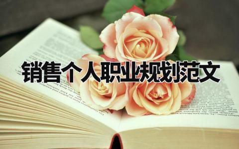 销售个人职业规划范文模板 销售职业发展与未来规划