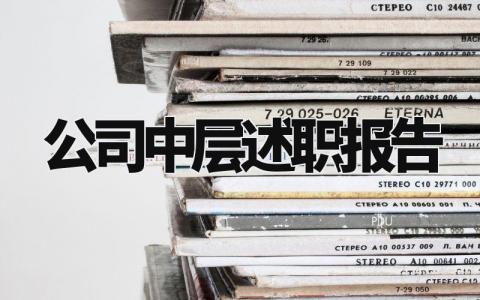 公司中层述职报告怎么写 公司中层领导的述职报告
