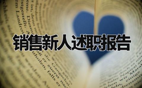 销售新人述职报告总结模板 销售人员简短的个人述职报告