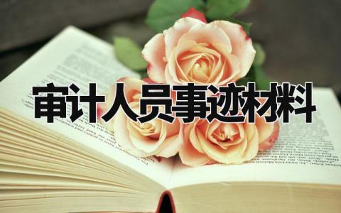 审计人员事迹材料范文 审计人员事迹材料模板 (8篇)