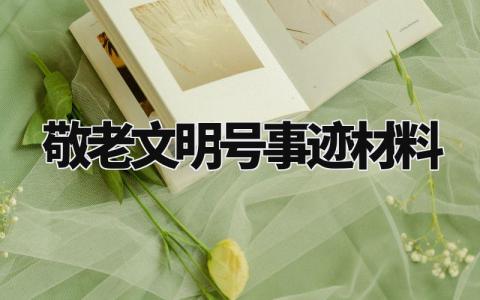 敬老文明号事迹材料 敬老文明号创建情况 (6篇)