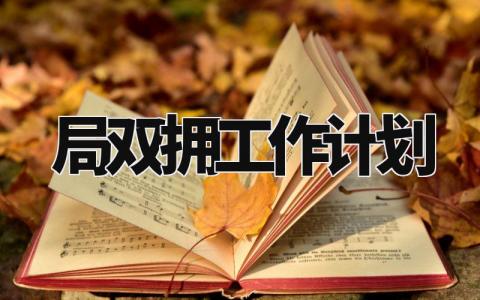 局双拥工作计划范文 局双拥工作计划和总结 (12篇)