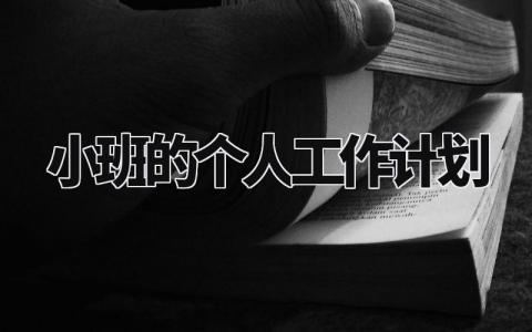 小班的个人工作计划范文 小班的个人工作计划模板 (14篇)