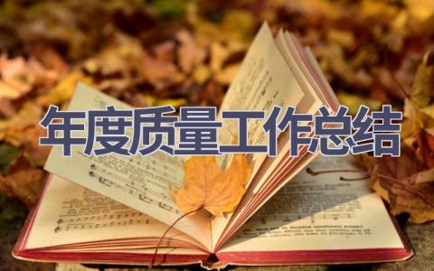 2023年度质量工作总结范文(21篇）