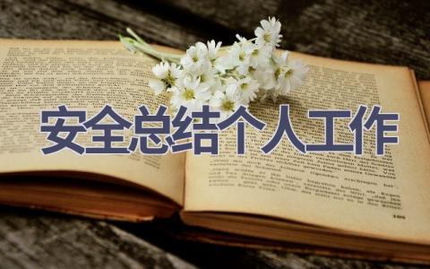 2023安全总结个人工作范文(17篇）