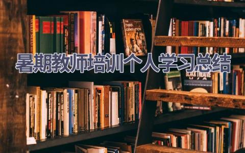 暑期教师培训个人学习总结范文(18篇）